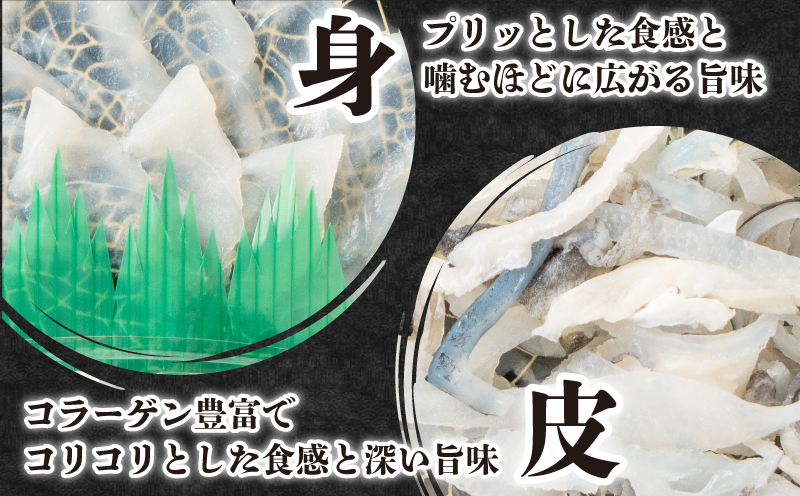 とらふぐ刺身12人前