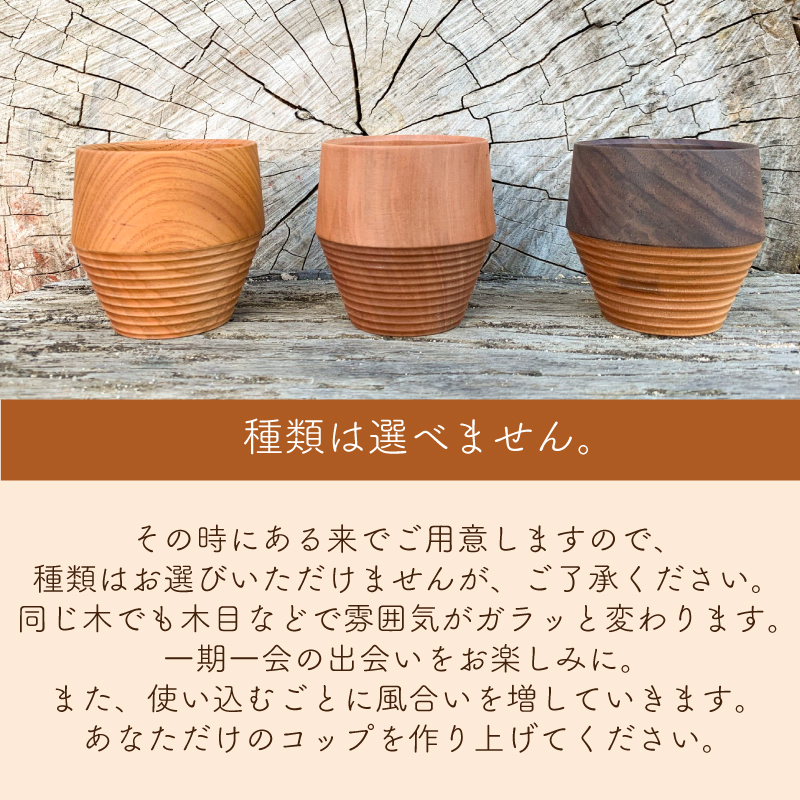 木製 コップ ムクロジ木器