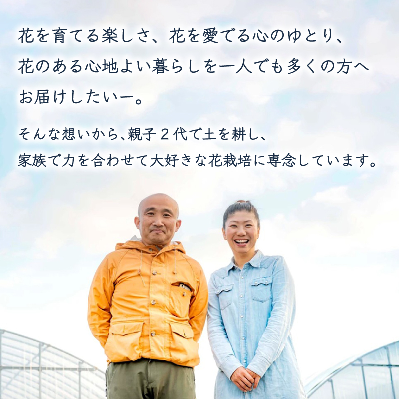 オリエンタルユリ 花束 5本 (蕾数 約20個) 下関市 山口