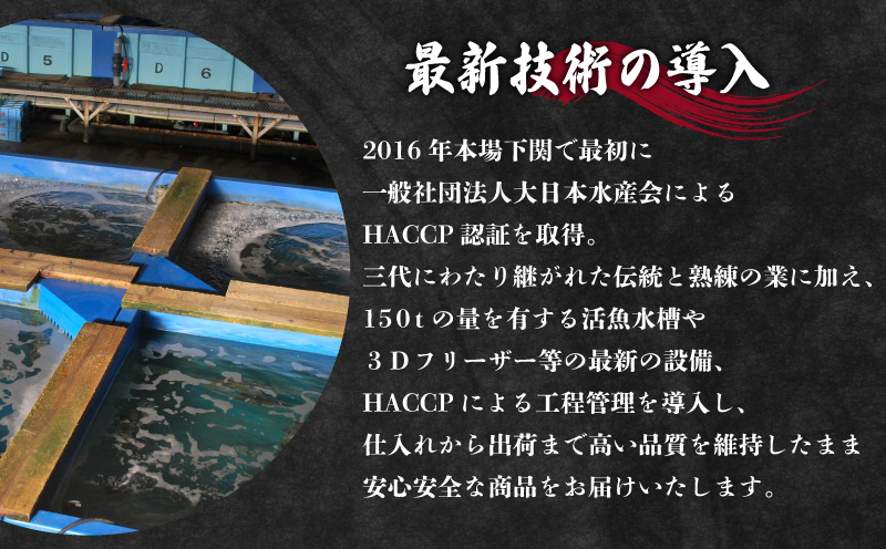 【お届け指定日必須】 とらふぐ料理セット 5～6人前 冷蔵