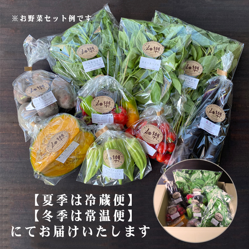 【定期便5ヶ月】旬の 野菜 詰め合わせ