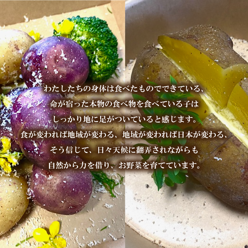 じゃがいも 10kg デストロイヤー 10kg