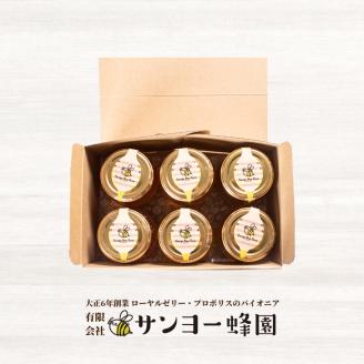 はちみつ 国産 蜂蜜漬け セット 570g ( 95g×6種 ) 山口県産 下関