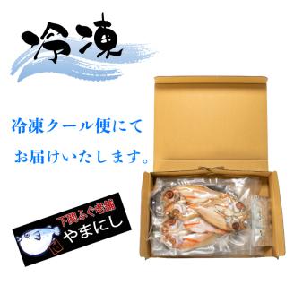 のどぐろ開き干し ふぐたたき刺身 一汐干し 3人前 冷凍 フグ刺し 刺身 河豚 高級魚 海鮮 魚介 下関市 山口県