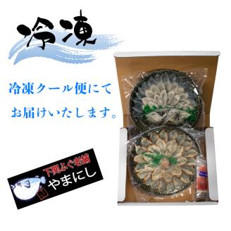 とらふぐ 刺身 マフグ刺したたき 食べ比べ セット 3人前 冷凍 刺身 河豚 高級魚 海鮮 魚介 下関市 山口県