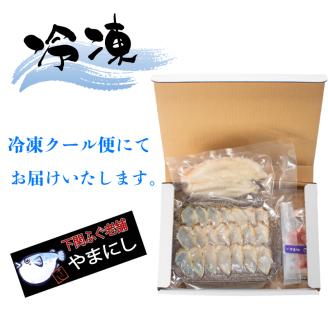 ふぐ たたき 刺身 一汐干し 天然 冷凍 河豚 魚介 海鮮 下関市 山口県