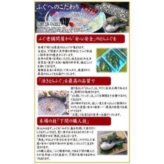 とらふぐ 料理 フルコース 2～3人前 冷蔵 フグ刺し 刺身 河豚 高級魚 海鮮鍋 魚介 下関市 山口県