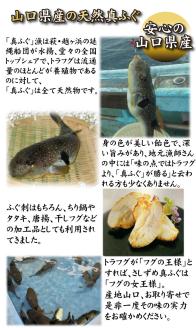 ふぐとあんこうの唐揚げ食べ比べセット