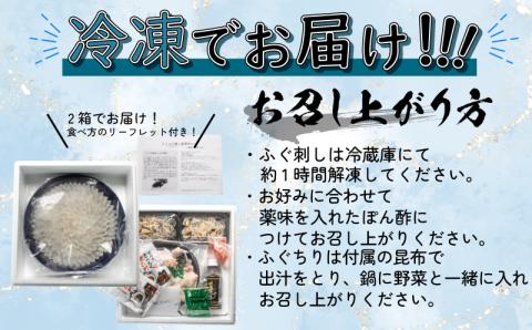 国産天然とらふぐ プレミアムセット 5-6人前 冷凍 刺身 海鮮鍋 下関市 山口県 【数量限定】
