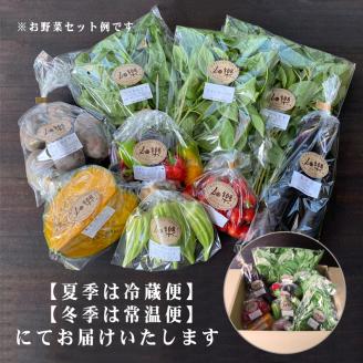 野菜 セット 【2025年5月以降順次発送】