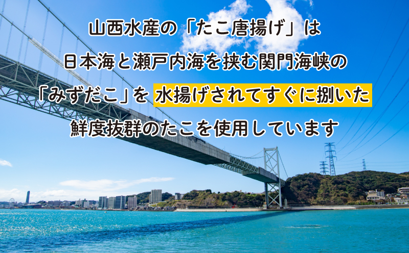 たこ 唐揚げ セット 600g 冷凍 小分け 蛸 タコ からあげ カラアゲ つまみ おかず 下関 山口 【容量：600g】
