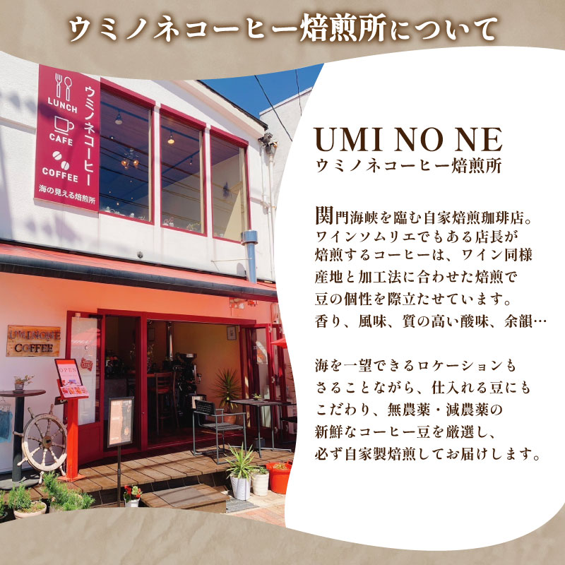 【中挽き】訳あり コーヒー豆 800g(400g×2袋) ブラジル 再入荷 2024年度入荷分