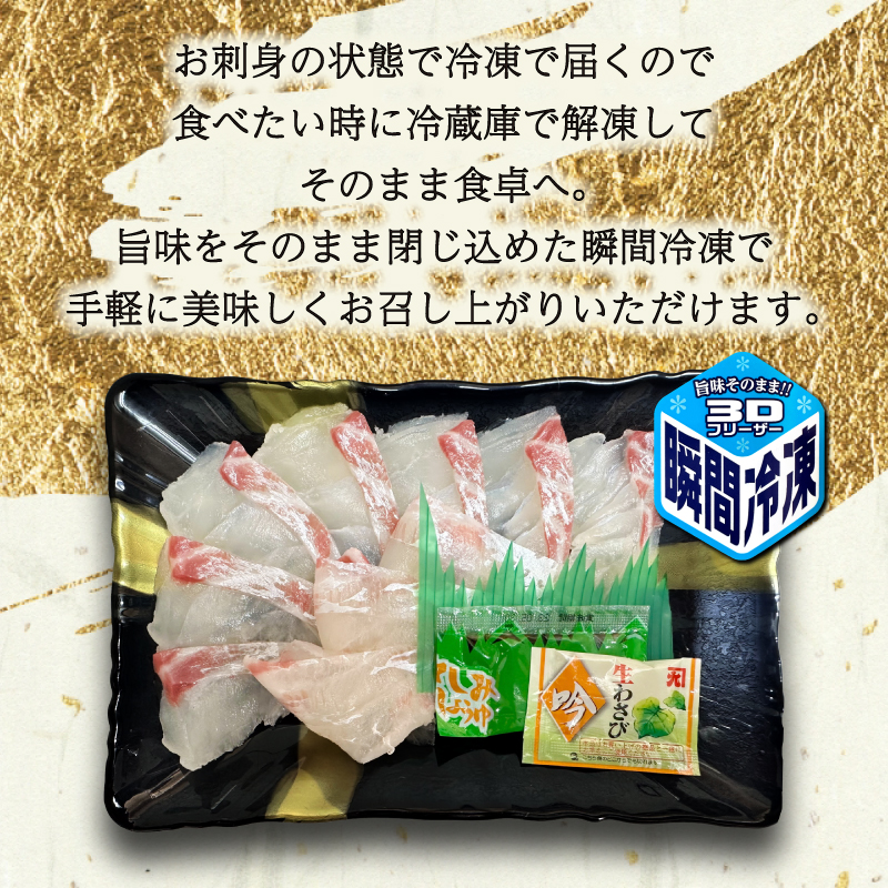 定期便 4回 唐戸市場直送 お刺身 各2人前 冷凍 下関 山口