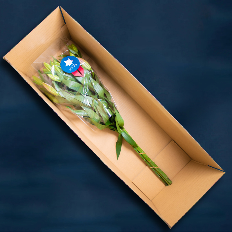 オリエンタルユリ 花束 5本 (蕾数 約20個) 下関市 山口