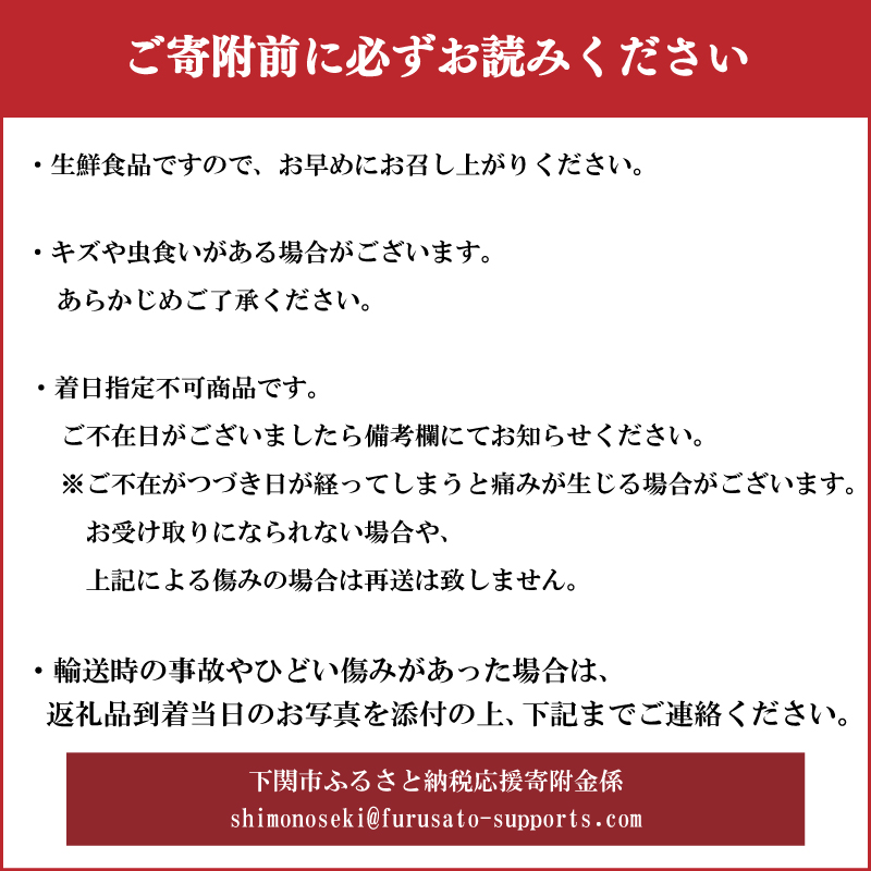 生ホップ ～ビールに浮かべて～【2026年6月中旬～7月中旬発送】