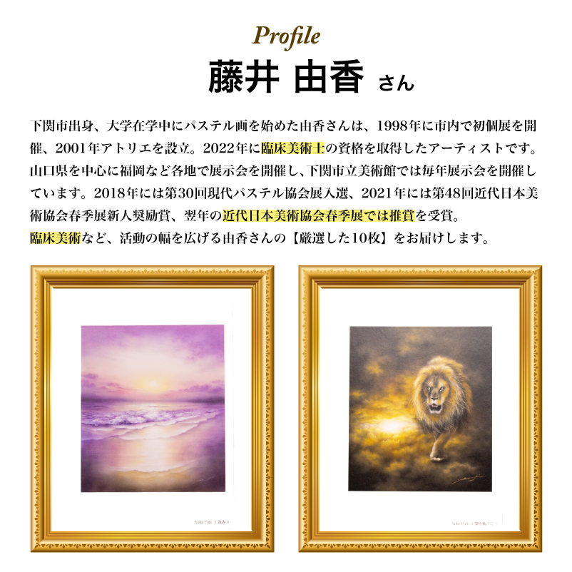 ポストカード 10種 セット 藤井由香