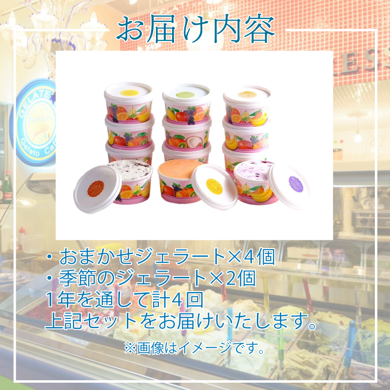 【定期便4回】 ジェラート おまかせ セット 6個 × 4回 計 24個