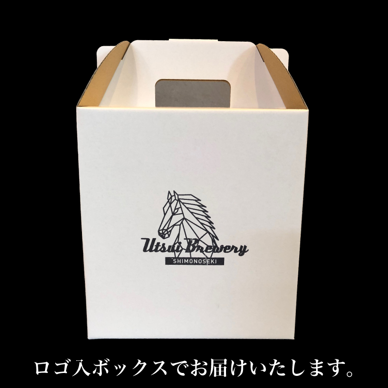 クラフトビール3種6本セット 馬関クラフト utsuibrewery うついブルワリー 内日ブルワリー 下関 山口