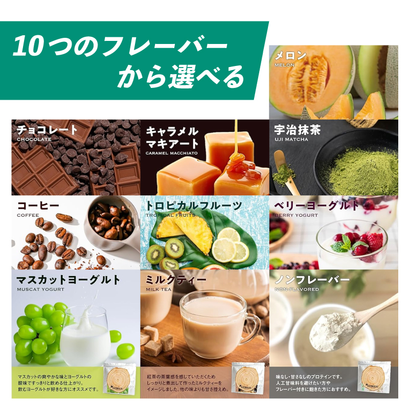 【チョコレート風味】 EZOBOLIC プロテイン 3kg チョコレート風味 3kg