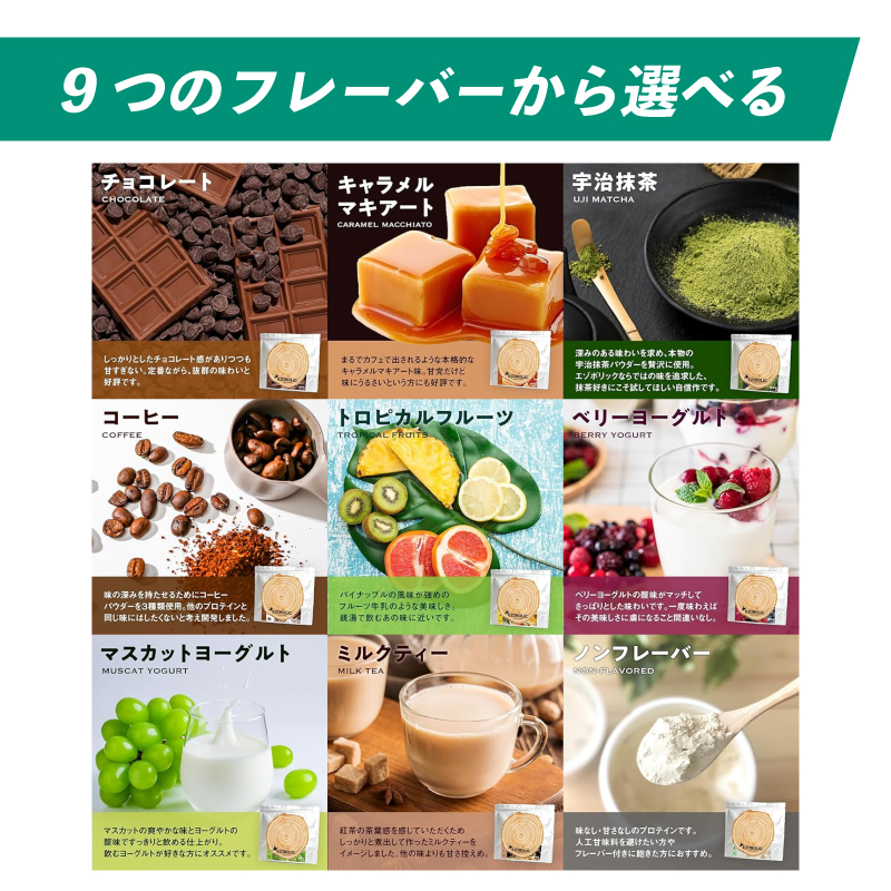 【チョコレート風味】 EZOBOLIC プロテイン 1kg チョコレート風味 1kg 定期便 3回