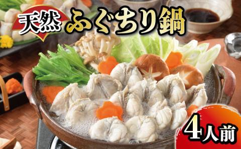 たっぷり4人前! 天然ふぐちり鍋 唐揚げでも 下関