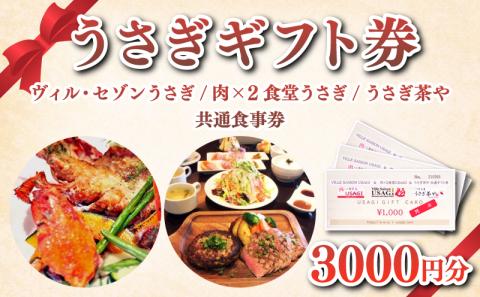 うさぎギフト券