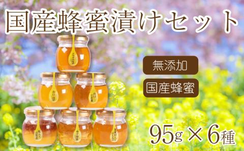 はちみつ 国産 蜂蜜漬け セット 570g ( 95g×6種 ) 山口県産 下関