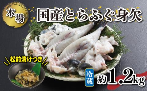 国産 とらふぐ 身欠 セット 約1.1～1.3kg ふぐ松前漬け 付き 冷蔵 下関 山口 ふぐ特集