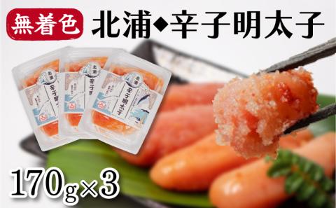 北浦の鯵と地酒を使用した辛子明太子 170g×3 一本物 無着色 小分け めんたいこ 高級 下関 山口