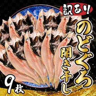 訳あり のどぐろ開き干し 9尾 冷凍 小分け 小サイズ 干物 ノドグロ あかむつ 高級魚 海鮮 惣菜 下関