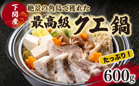 天然 クエ 鍋 セット 高級 九絵 くえ 下関 山口