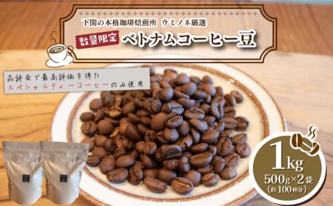 【細挽き】訳あり コーヒー豆 1kg ( 500g × 2袋 ) ベトナム 再入荷 2024年度入荷分 出荷当日 自家焙煎 スペシャルティコーヒー 数量限定 珈琲 コーヒー 下関 山口 EW145-D