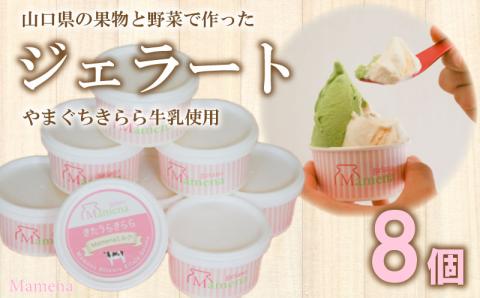 Mamena おすすめ8種が入った ジェラートおまかせ8個セット
