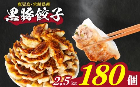 訳あり 黒豚餃子 180個(12粒×15袋) 冷凍 黒豚餃子【1回のみ】180個× 1回