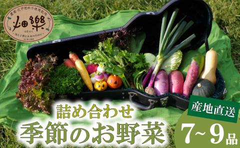 野菜 セット 【2025年5月以降順次発送】