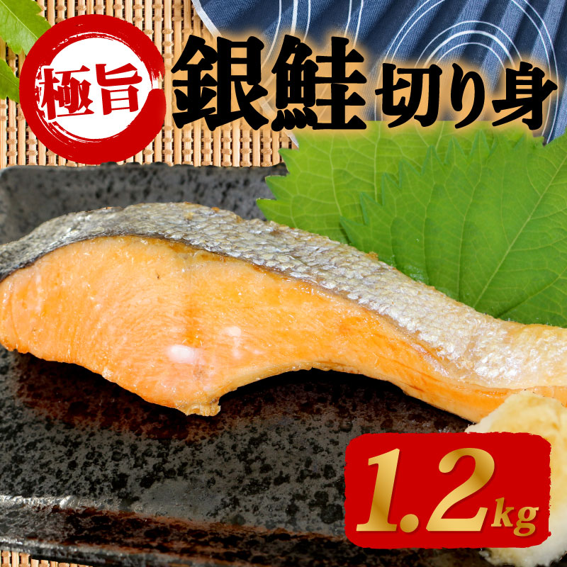 甘塩 銀鮭 切身 1.2kg 冷凍 片身分 鮭 サーモン 切り身 指定日可 下関 山口
