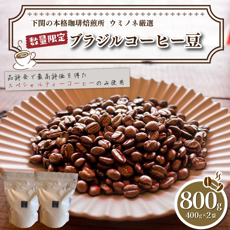 【粗挽き】訳あり コーヒー豆 800g(400g×2袋) ブラジル 再入荷 2024年度入荷分