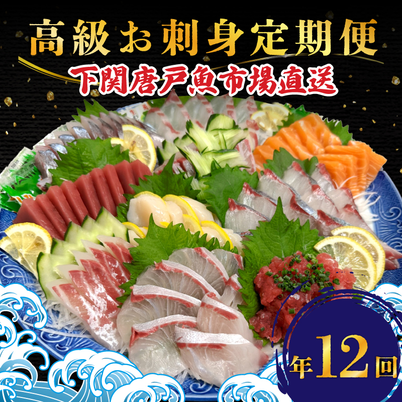 定期便 年12回 毎月 唐戸市場直送 高級お刺身 各2人前 ( 高級 鮮魚 魚介 海 冷凍 小分け 定期便 お楽しみ 人気 刺身 刺し身 さしみ お手軽 解凍するだけ 地魚 産地直送 ヒラメ いくら イクラ タイ のどぐろ サーモン アジ ホタテ ほたて マグロ まぐろ定期便) 下関 山口県