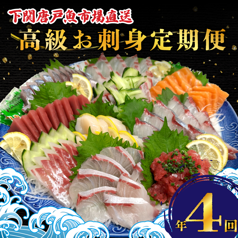 定期便 4回 唐戸市場直送 お刺身 各2人前 冷凍 下関 山口