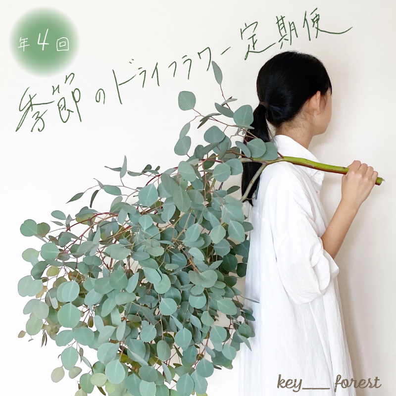 【定期便4回】 季節の草木花 スワッグ リース