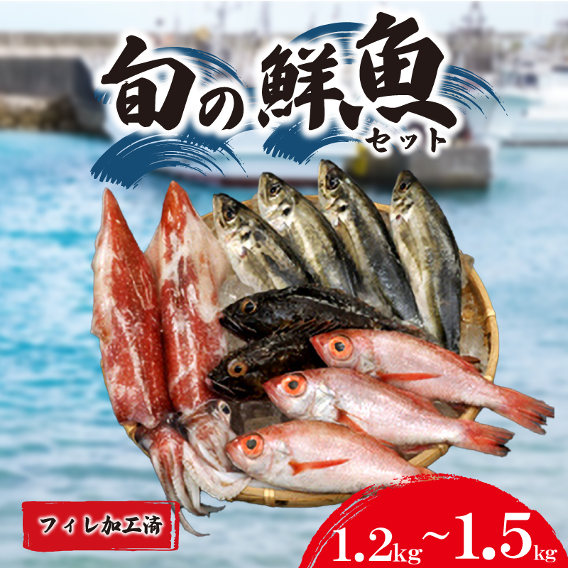 鮮魚 フィレ加工