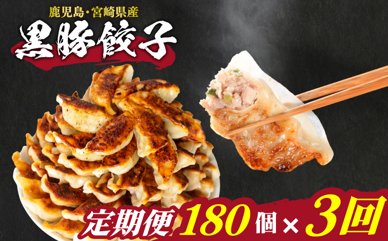 訳あり 黒豚餃子 3か月 180個 12個×15パック 黒豚餃子【隔月発送】180個× 3回