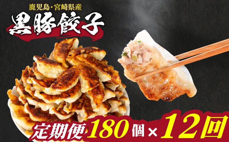 訳あり 黒豚餃子 12か月 180個 12個×15パック 黒豚餃子【毎月発送】180個×12回