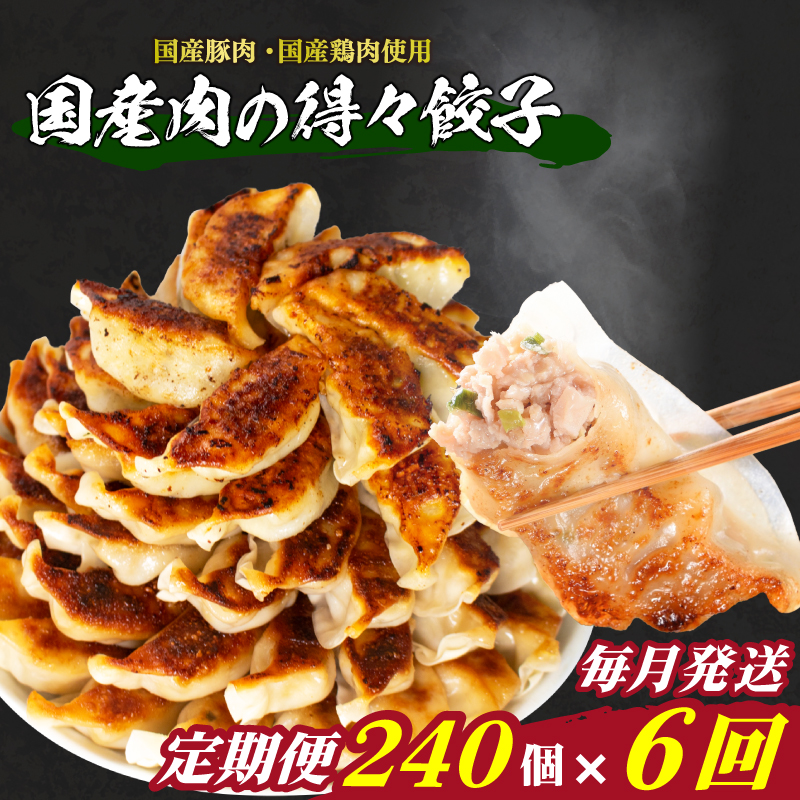 訳あり 国産肉の得々餃子 6回 毎月 定期便 240個 20個×12パック 冷凍 国産肉の得々餃子【毎月発送】240個× 6回
