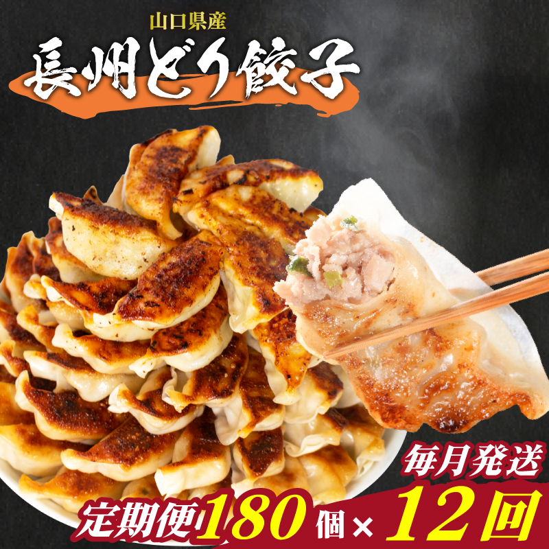 訳あり 長州どり餃子 12回 毎月 定期便 180個 12個×15パック 冷凍 長州どり餃子【毎月発送】180個×12回
