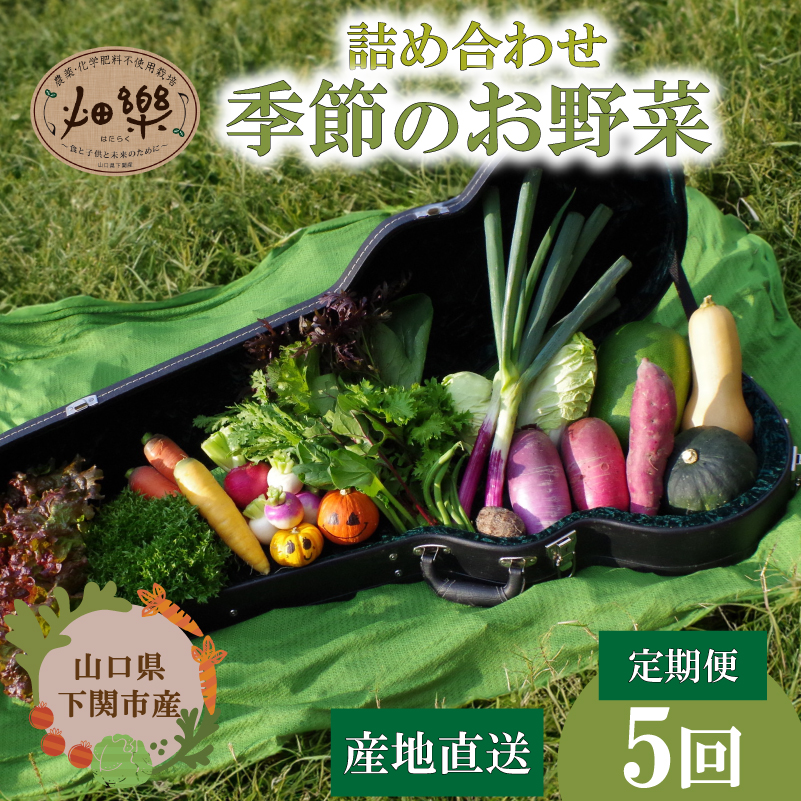 【定期便5ヶ月】旬の 野菜 詰め合わせ