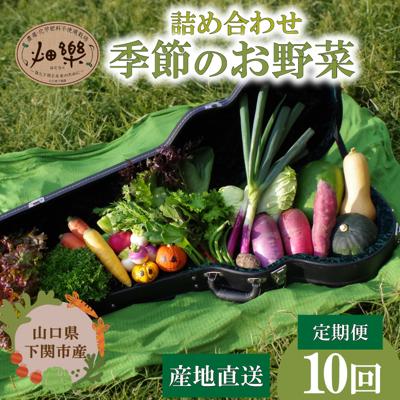 【定期便10ヶ月】旬の 野菜 詰め合わせ