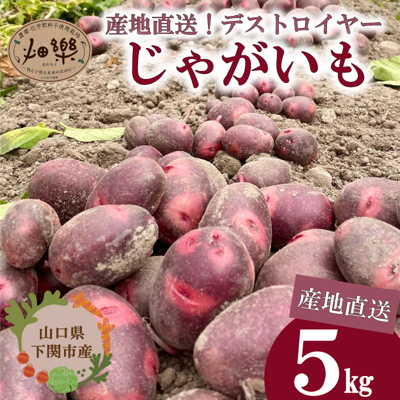 じゃがいも 5kg デストロイヤー 5kg