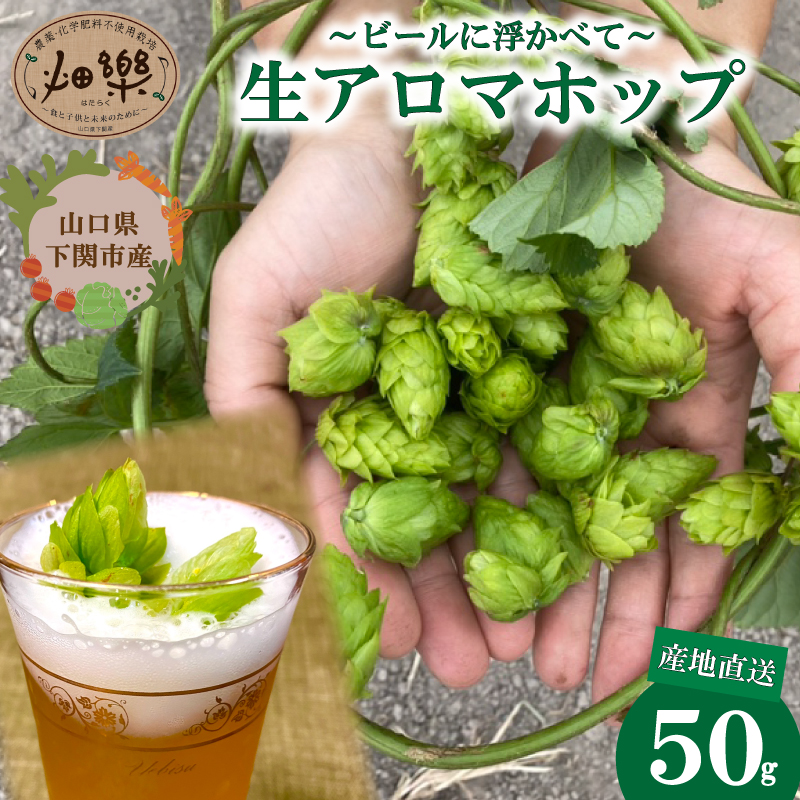 生ホップ ～ビールに浮かべて～【2026年6月中旬～7月中旬発送】