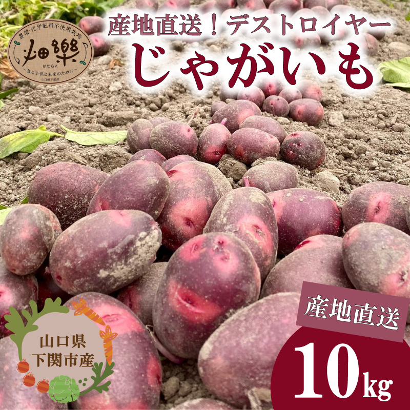じゃがいも 10kg デストロイヤー 10kg
